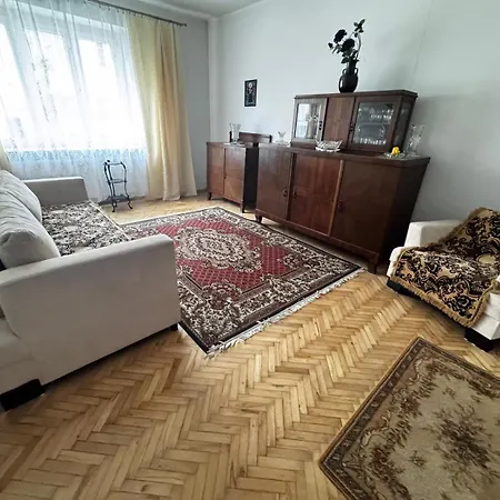 Retro Chic W Sercu Poznania 100m2 Poznan